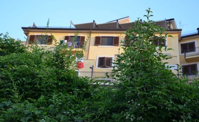 DSC_1100 rid
